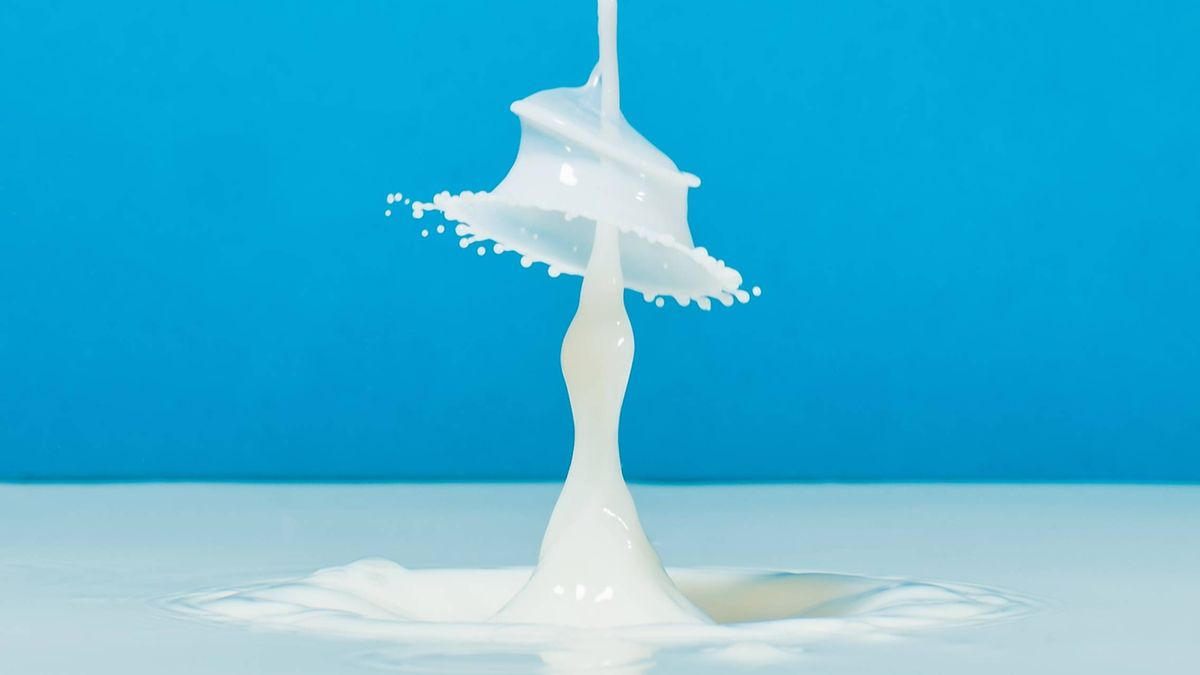Sin lactosa, con lactosa… ¿o es algo más? Toda la ciencia que hay detrás de los lácteos