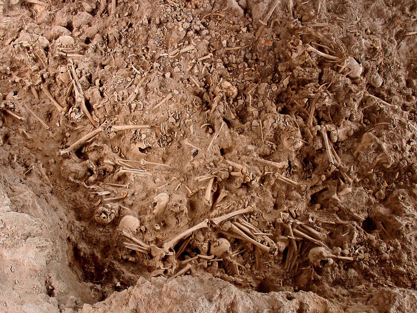 La Edad del Bronce en la Península Ibérica, contada por los genes