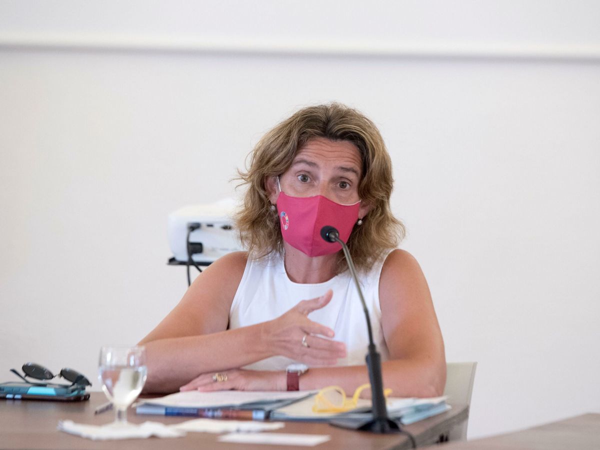 Foto: La vicepresidenta del Gobierno y ministra para la Transición Ecológica, Teresa Ribera. (EFE)