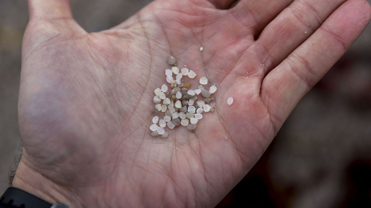 ¿De dónde salen los 'pellets' que inundan las playas de Galicia, Cantabria o Asturias? Qué se sabe de su origen