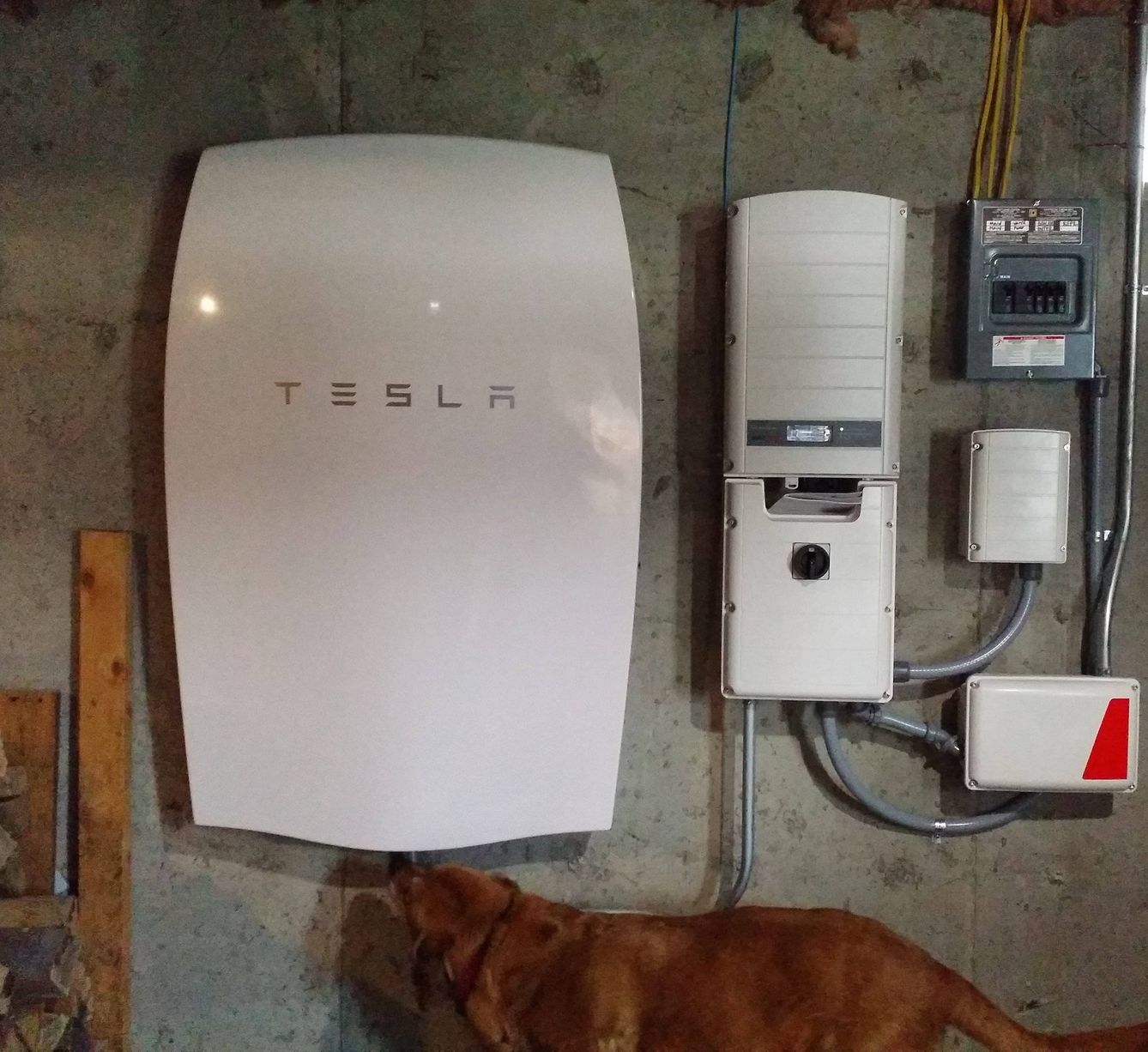 La batería Powerwall de Tesla es la alternativa más popular, pero no es la única del mercado (Imagen: Bryan Alexander)