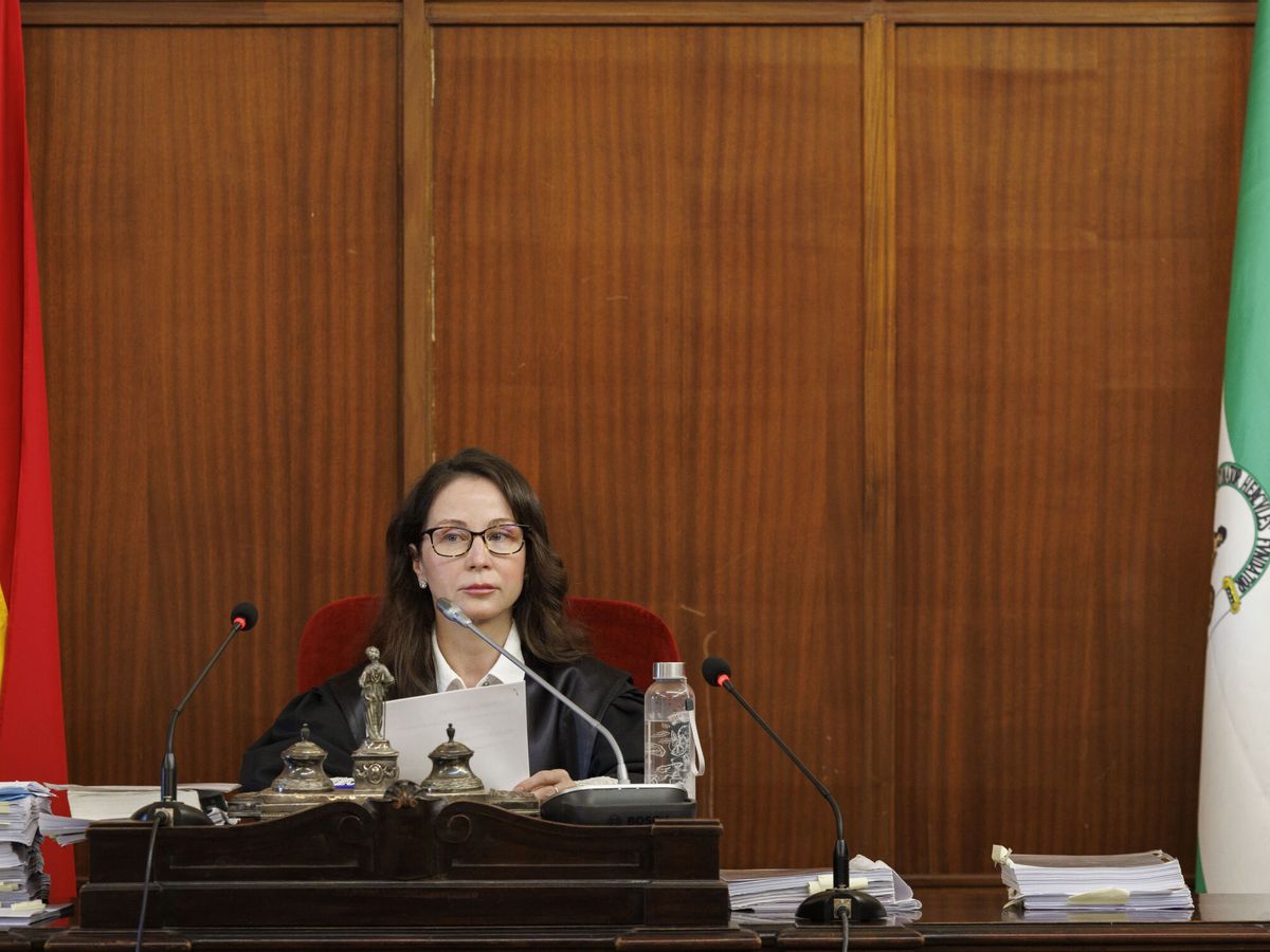 Foto: La jueza Mercedes Alaya, durante el juicio de la Faffe, en la Audiencia de Sevilla. (EFE/Julio Muñoz)