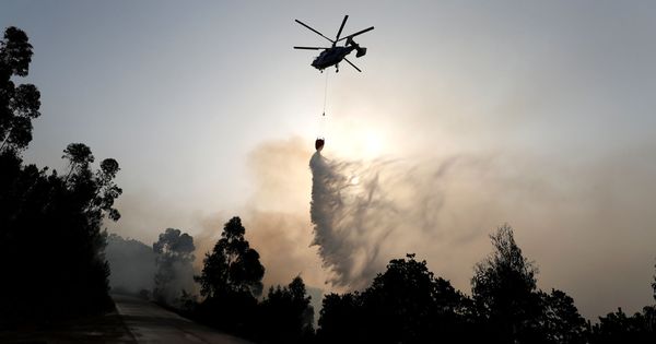Foto: Foto de archivo de un helicóptero sobrevolando una zona de bosque portuguesa. (EFE)