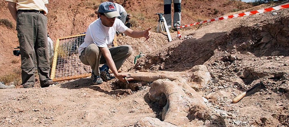 Foto: Hallan un fémur y una tibia de un gran dinosaurio en un yacimiento de Burgos