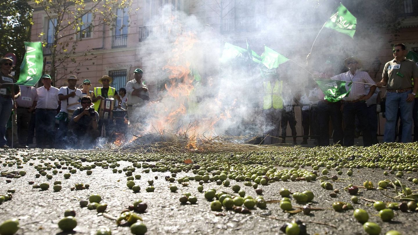 Protesta de agricultores andaluces por la crisis en Sevilla (Efe)