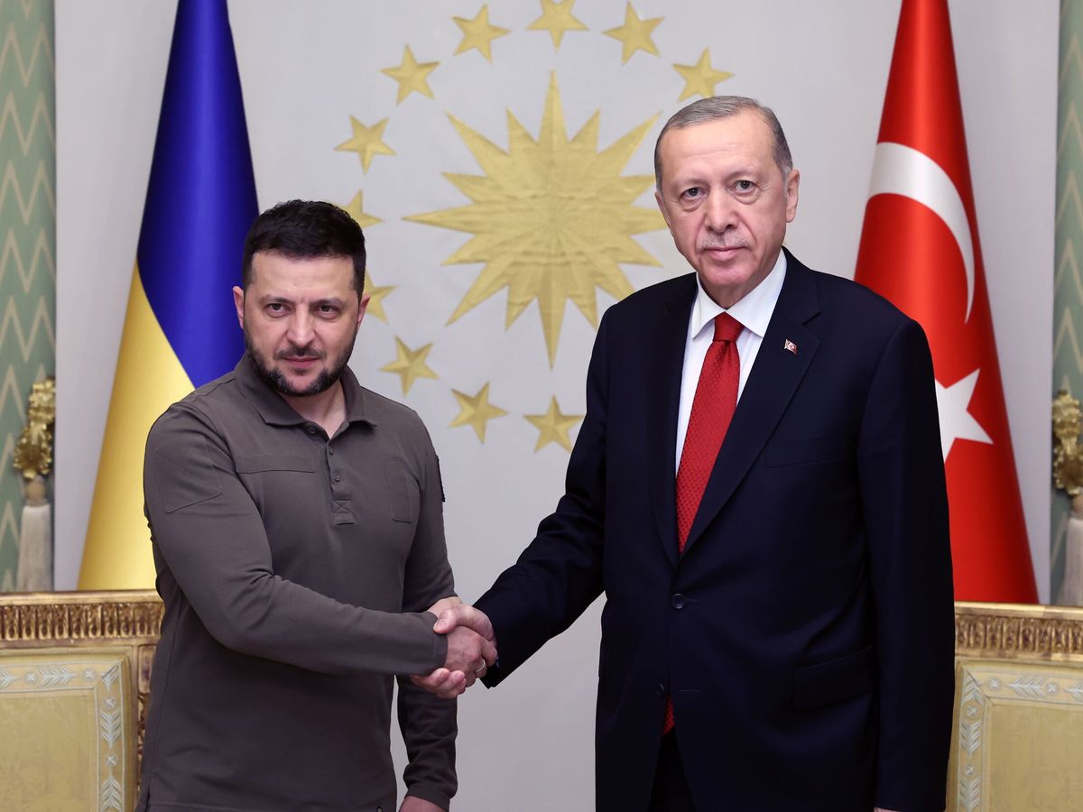 Foto: Volodímir Zelenski y Recep Tayyip Erdogan. (EFE/EPA/Murat Cetin Muhurdar)