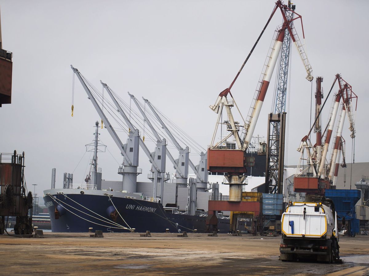 Foto: Imagen de grúas en el puerto de Santander. (EFE)