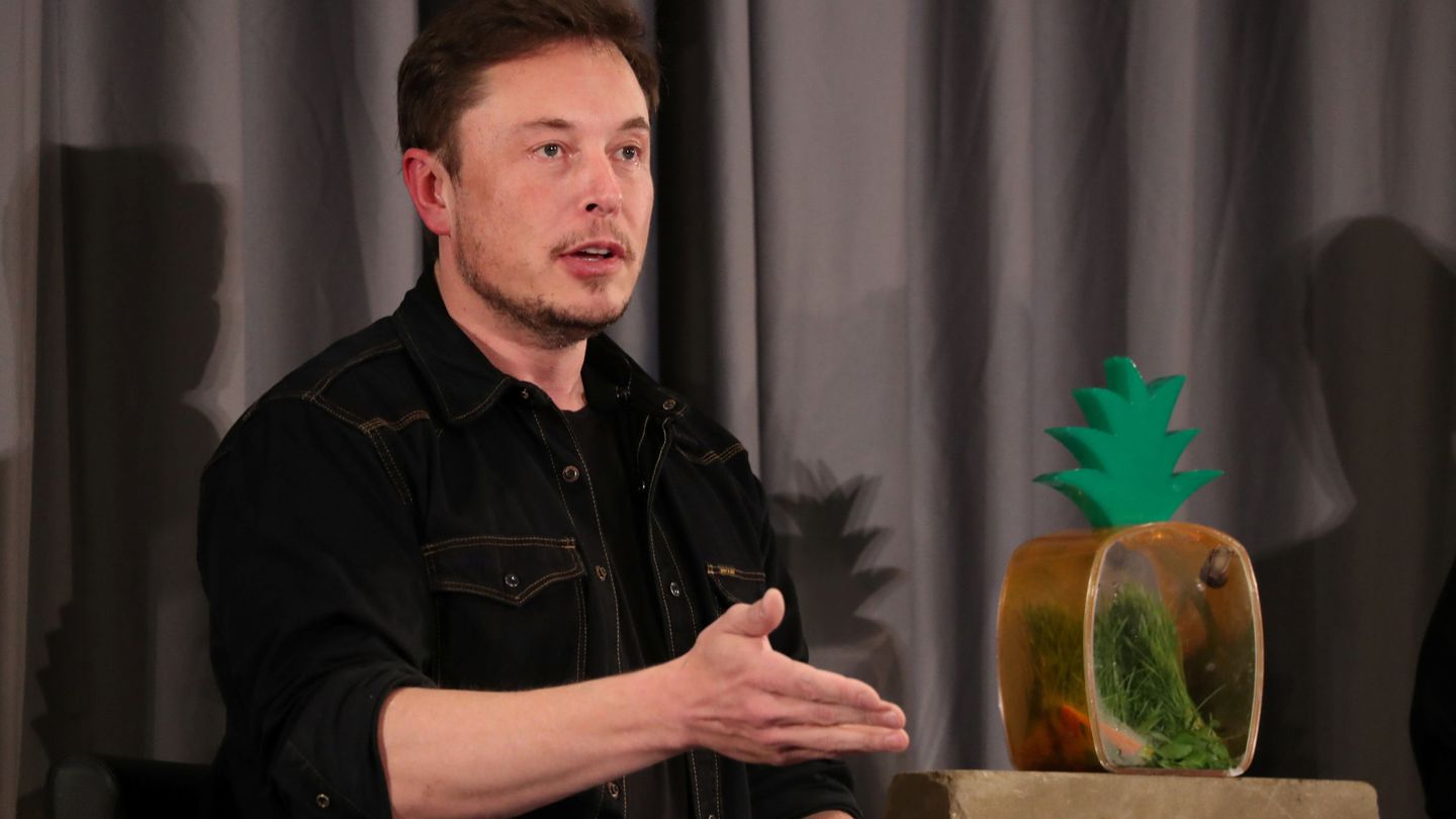 Elon Musk, a lo Bob Esponja, con su amigo Gary el caracol viviendo en una piña. (Foto: Reuters)
