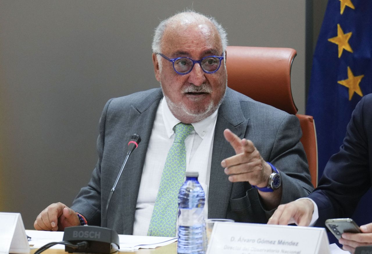 Pere Navarro, director general de la DGT. (Foto: EFE/Borja Sánchez-Trillo)