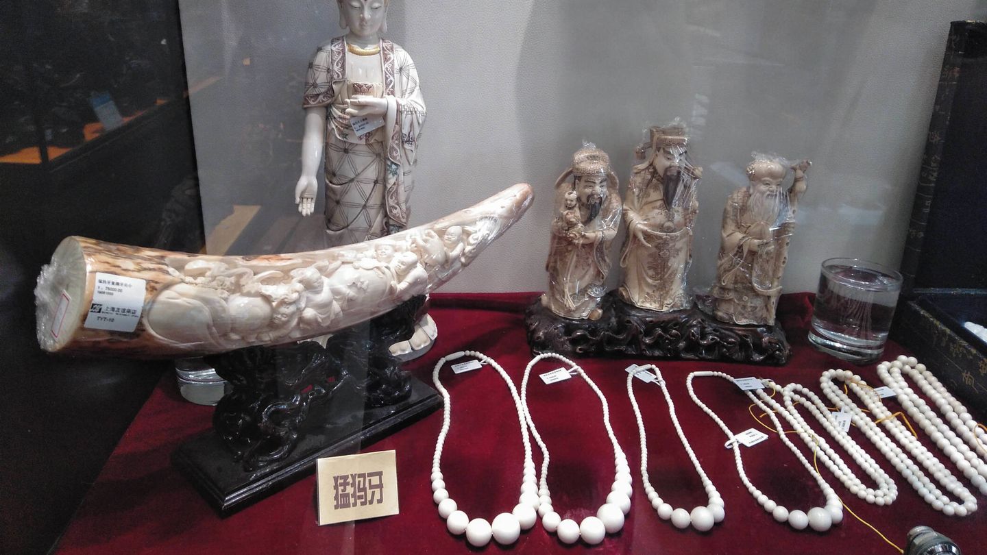 'Mamut' se lee en el cartel delante de los objetos tallados de marfil de esta vitrina de una establecimiento de artesanía de Shanghái. (L.G. Ajofrín)