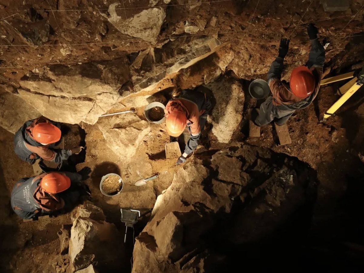 Análise de DNA revela espécie de bovino extinto em caverna na Sibéria