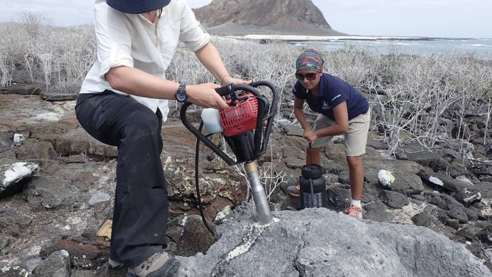 Perforan los corales fosilizados más antiguos de Galápagos y lo que aparece evidencia lo que nos espera con El Niño