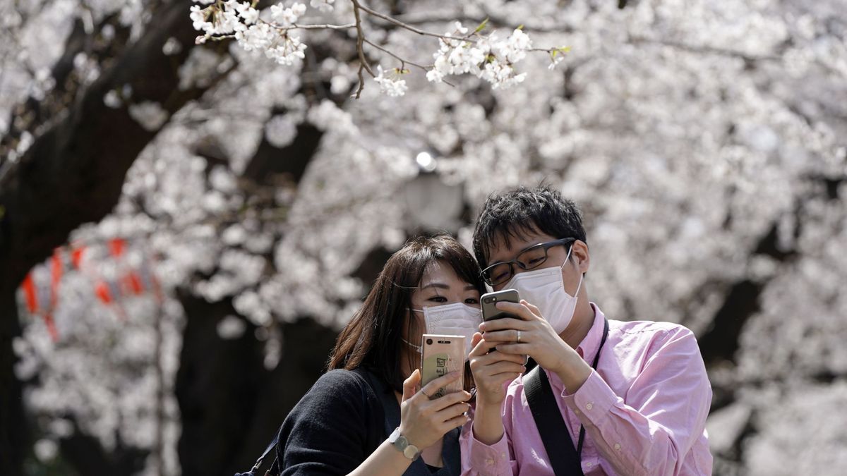 'Wakaresaseya', los 'espías' de Japón que se encargan de sabotear tu matrimonio