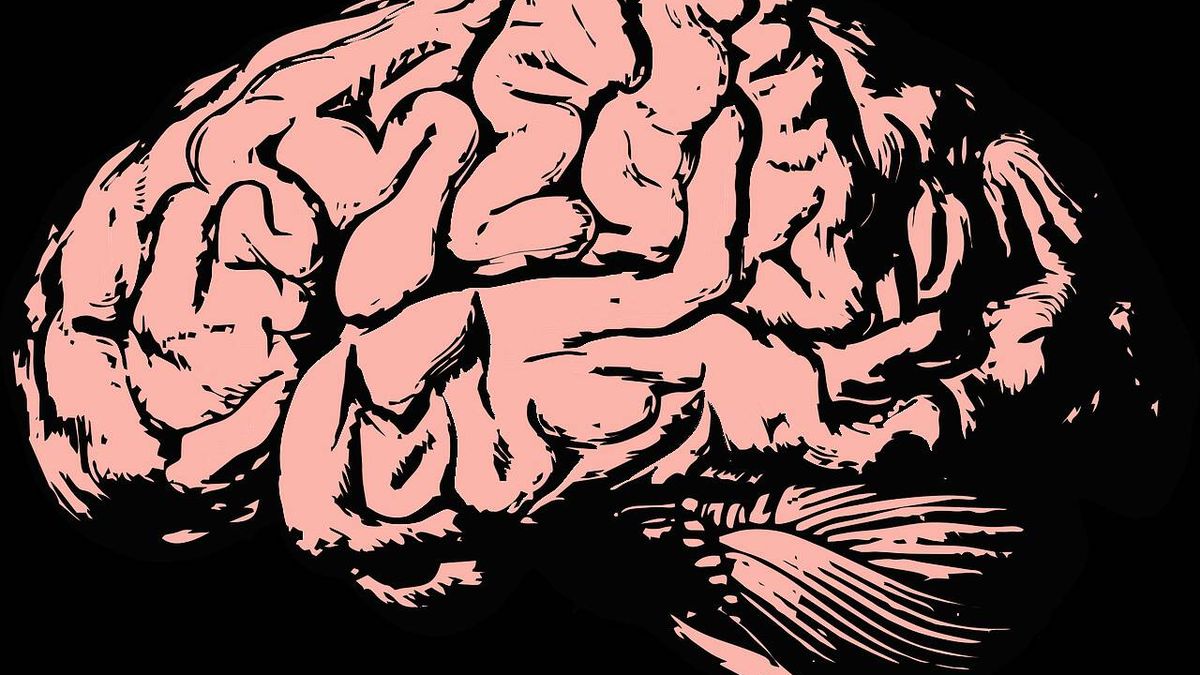 Ya se puede ver la depresión en un escáner cerebral (y tratarla)