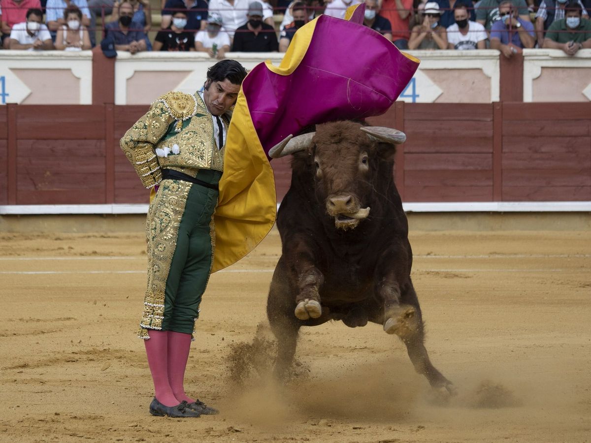 Foto: El diestro Morante de la Puebla cortó una oreja en el tercer festejo taurino de la Feria y Fiestas San Julián 2021 celebrada la pasada semana en Cuenca (EFE)
