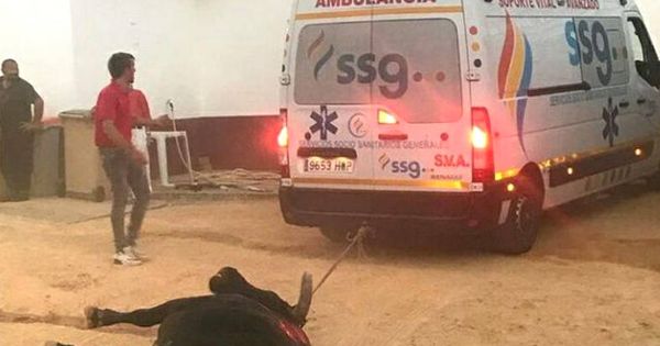 Foto: La ambulancia arrastra al toro fuera de la plaza de Valdepeñas (Foto: Podemos)