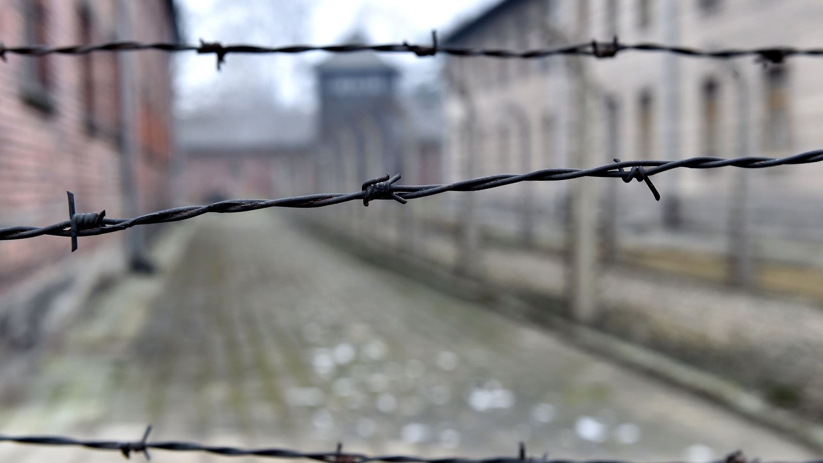 Foto: Aniversario de la liberación del campo de concentración nazi de Auschwitz-Birkenau, en Polonia | Foto: Reuters