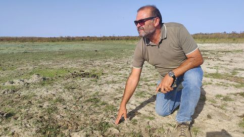 Vivir en el corazón de Doñana: una joya natural en peligro por la sequía periódica