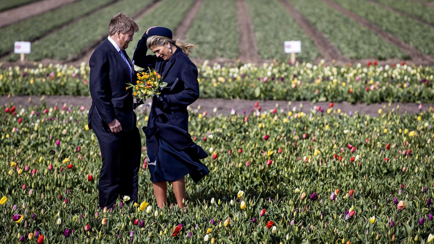 Los reyes de Holanda, entre tulipanes. (EFE)