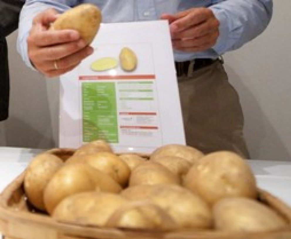 Foto: El precio de la patata sube un 12% interanual y se convierte en el alimento que más se encarece