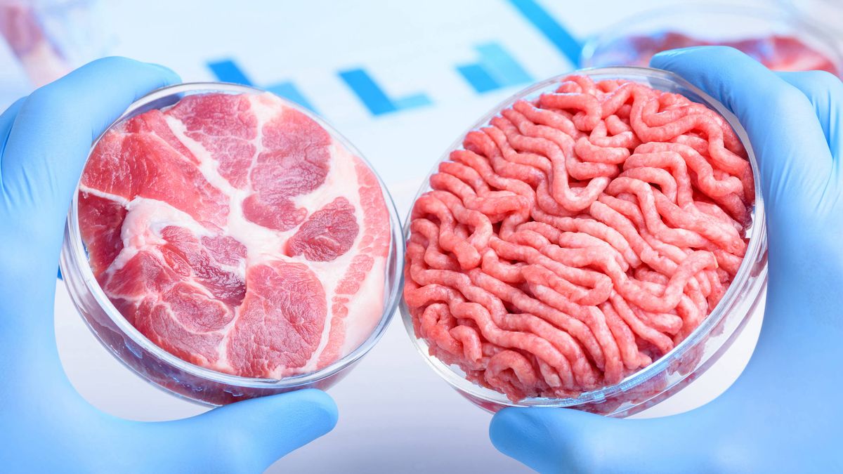 La carne de laboratorio que impedirá la trasmisión de enfermedades animales
