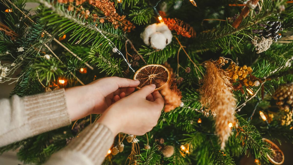 El árbol de Navidad podría estar afectando la calidad del aire en interior de tu casa