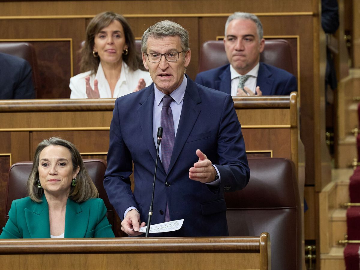 Foto: El presidente del PP, Alberto Núñez Feijóo, en el Congreso de los Diputados. (Jesús Hellín/Europa Press)