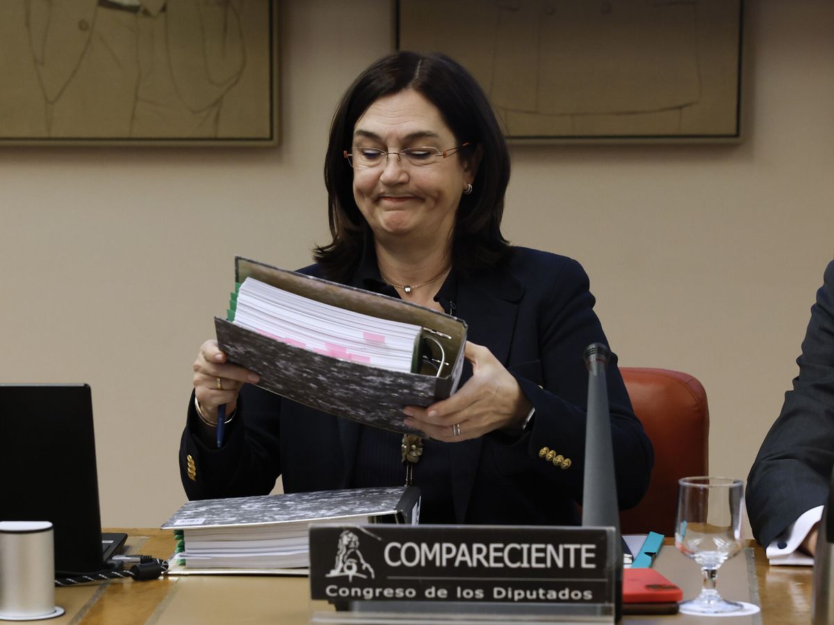 Foto: La presidenta de la Comisión Nacional de los Mercados y la Competencia (CNMC), Cani Fernández. (EFE/J.J. Guillén)