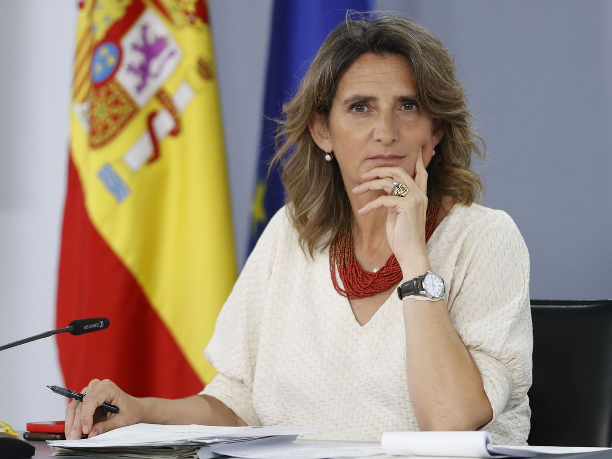 Foto: La ministra de Transición Ecológica, Teresa Ribera. (EFE/Mariscal)