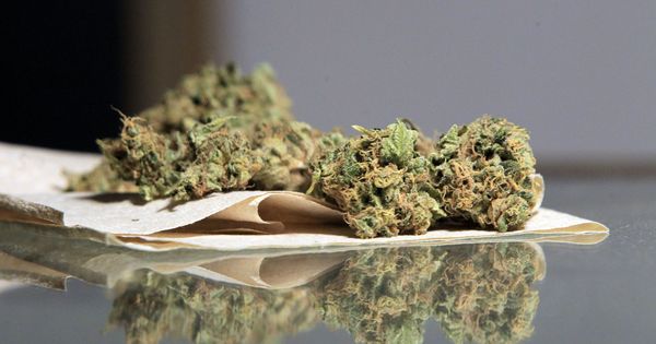 Foto: Uruguay comienza a vender marihuana de uso recreativo en las farmacias. (EFE)