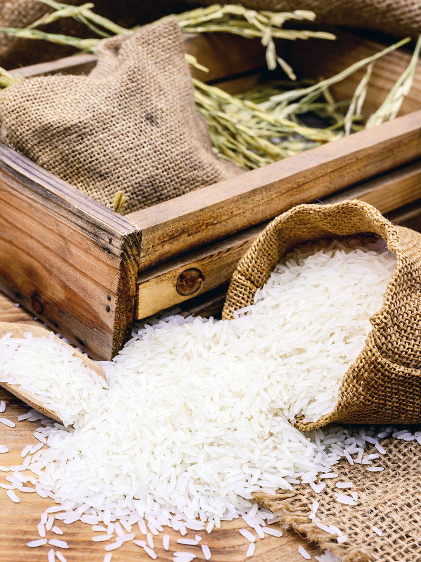 El cultivo del arroz está extendido por todo el mundo. (Freepik)