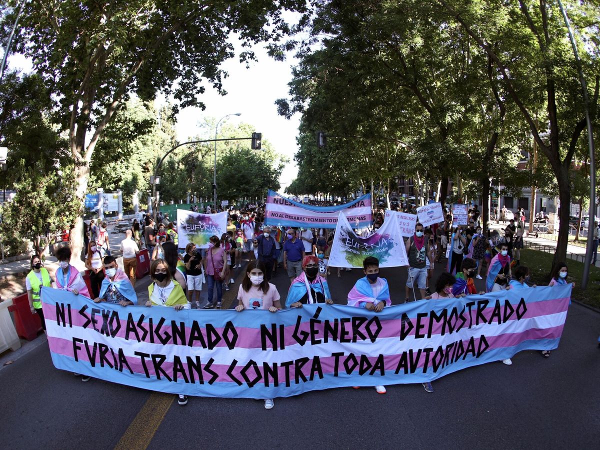 Foto: Manifestación alternativa del Orgullo 2021 en Madrid. (EFE/Rodrigo Jiménez)