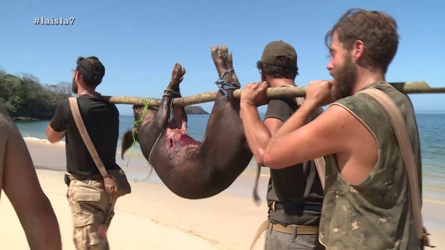 Santi logra capturar un cerdo en 'La isla'. (Atresmedia Televisión)