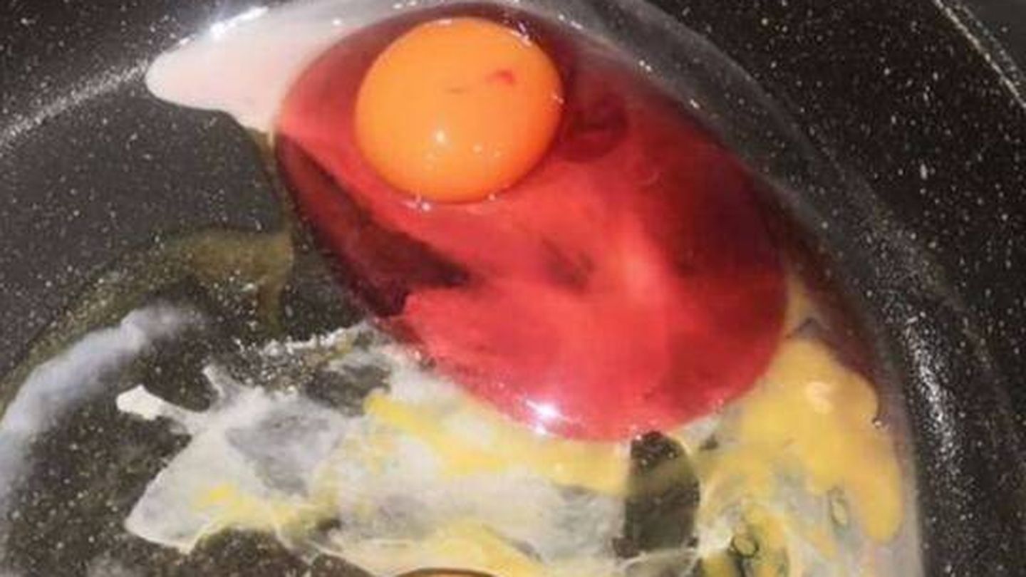 El huevo de Beena Sarangdhar, con pseudomona. (Facebook)