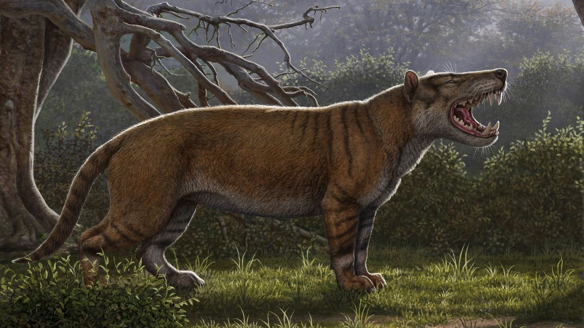 Identifican el fósil de un nuevo mamífero gigante, el 'gran león africano'
