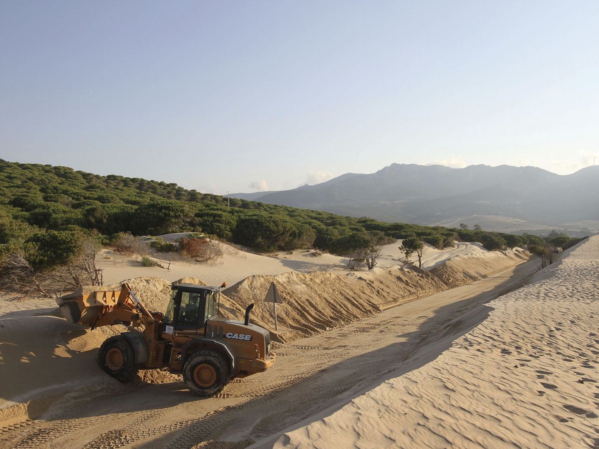 Foto: Una excavadora retira arena de la duna de Valdevaqueros. (EFE)