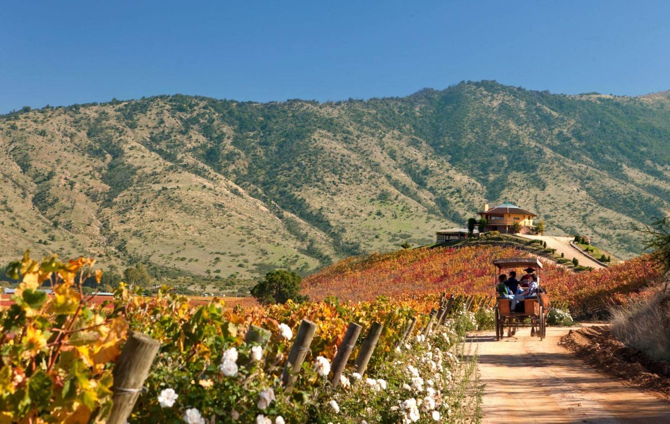 Ruta del Vino: Valle de Colchagua