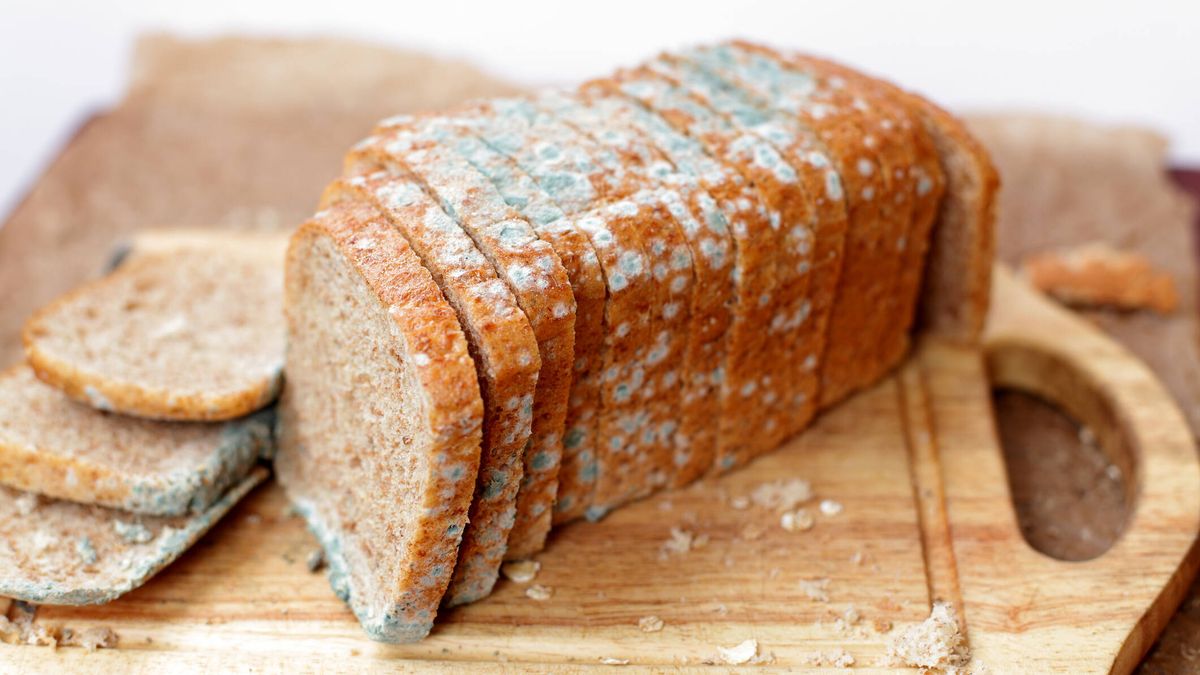 El sencillo truco para guardar el pan y protegerlo del moho