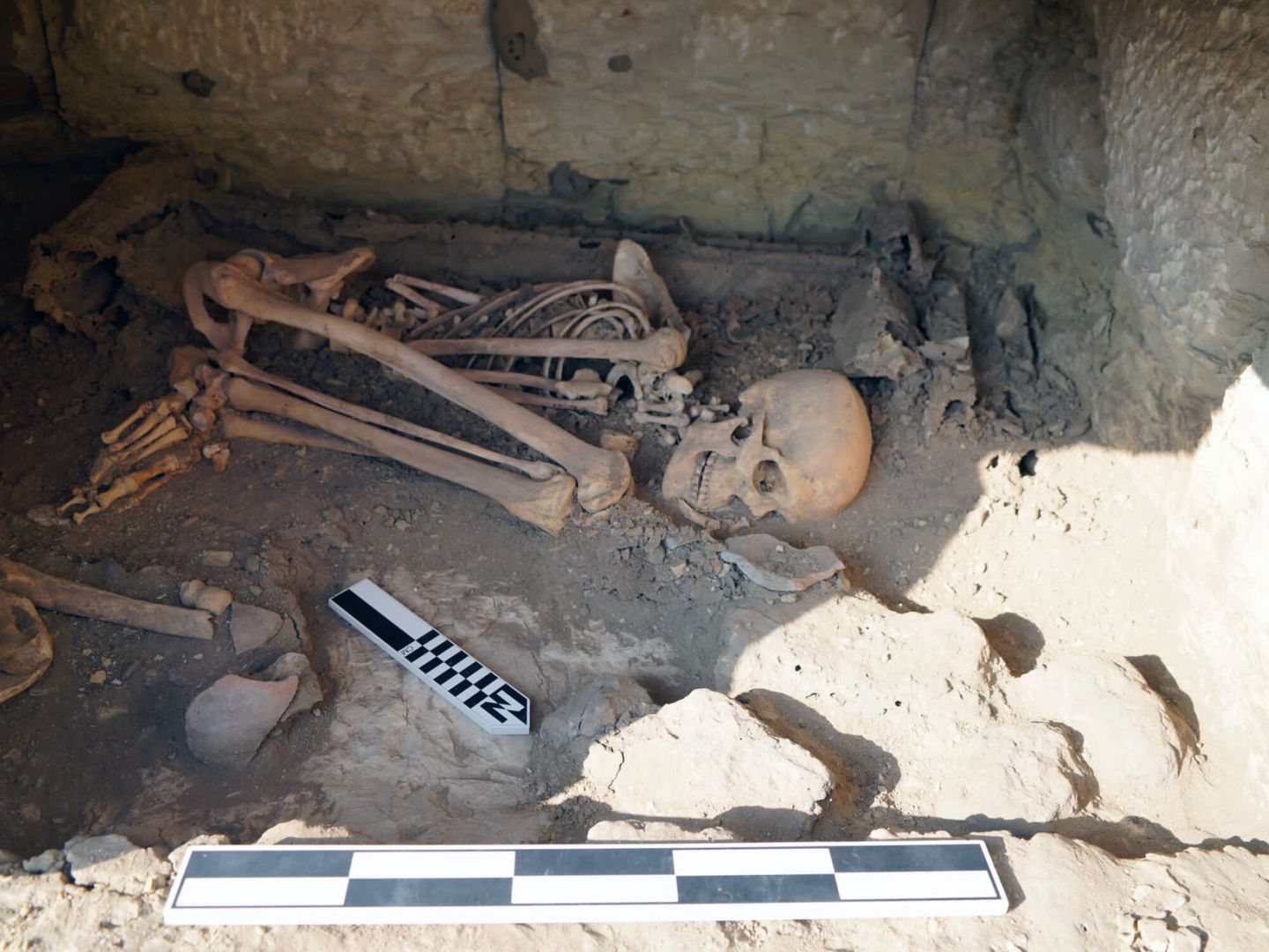 Algunos de los restos encontrados en la tumba de Sqqara. EFE