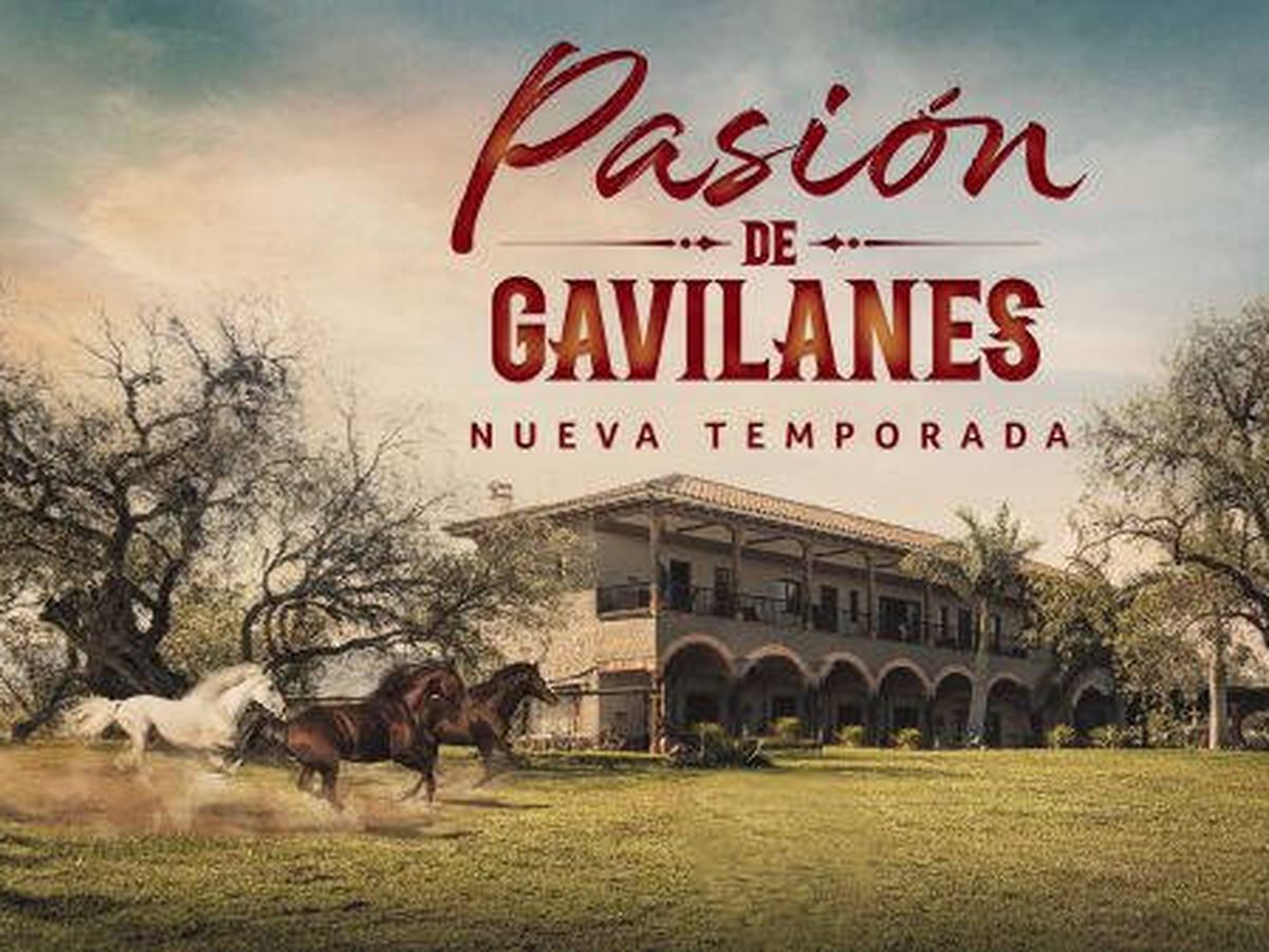 Foto: Imagen promocional de 'Pasión de gavilanes'. (Telemundo)