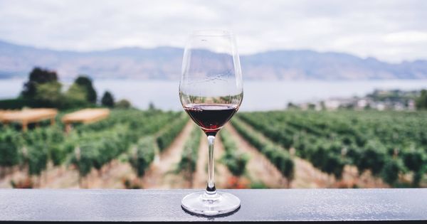 Foto: El vino también se puede disfrutar en verano.