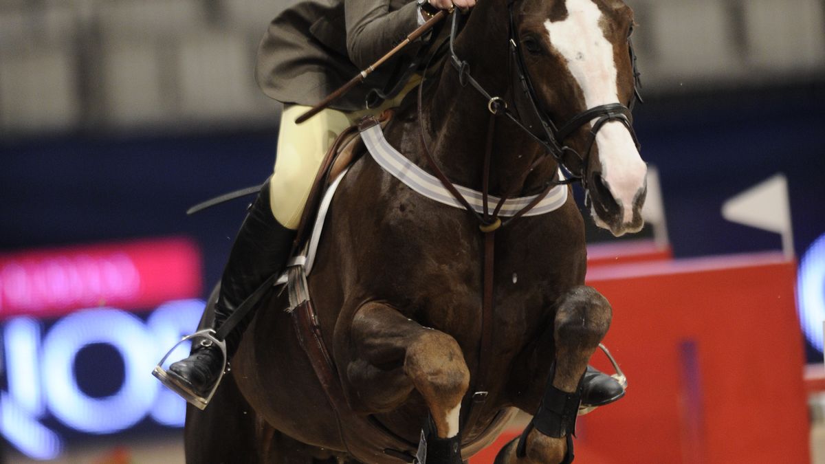 El caballo de la infanta Elena que ahora se vende por 25.000 euros