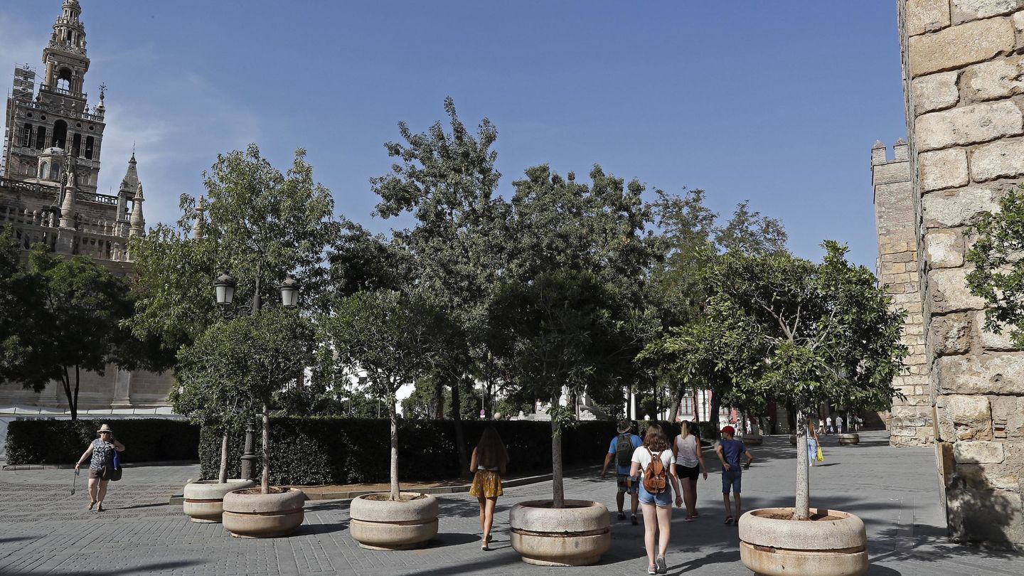 Sevilla ha reforzado la entrada al Alcázar en el casco antiguo con la instalación de unos maceteros. (EFE)