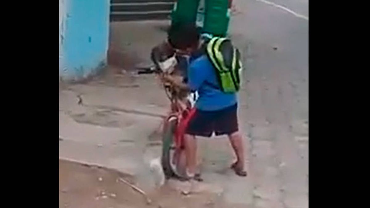 Un niño pone la mascarilla a su perro para ir de paseo en bicicleta