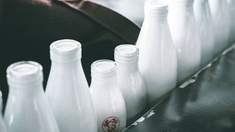 Bebe este tipo de leche para ayudar a tu salud y al planeta
