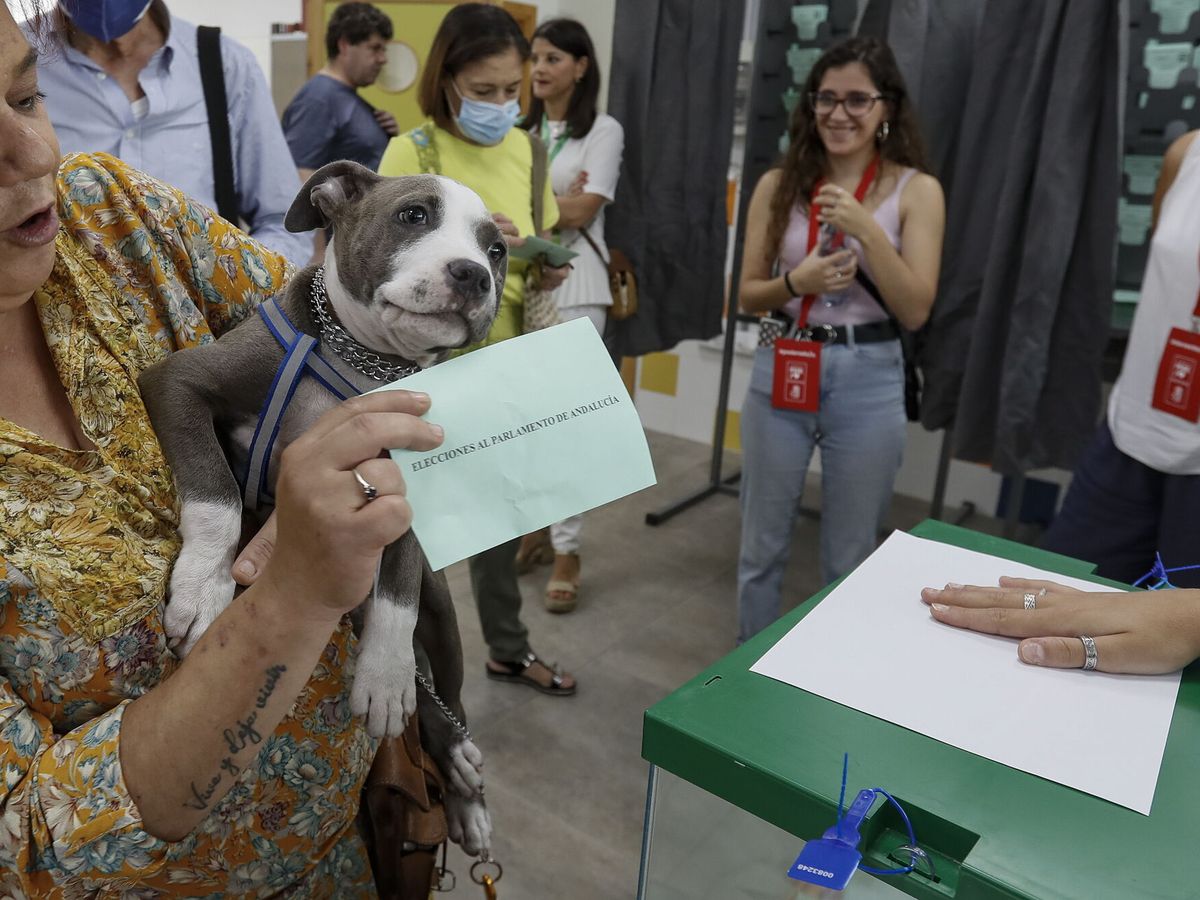 Foto: Urna de votación en las elecciones autonómicas del 19-J en Andalucía. (EFE/José Manuel Vidal)