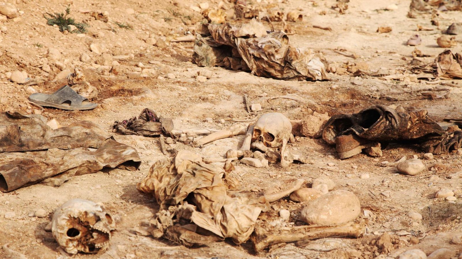 Foto: Cráneos humanos encontrados en una fosa común en las afueras de Sinjar, en febrero de 2015 (Reuters)