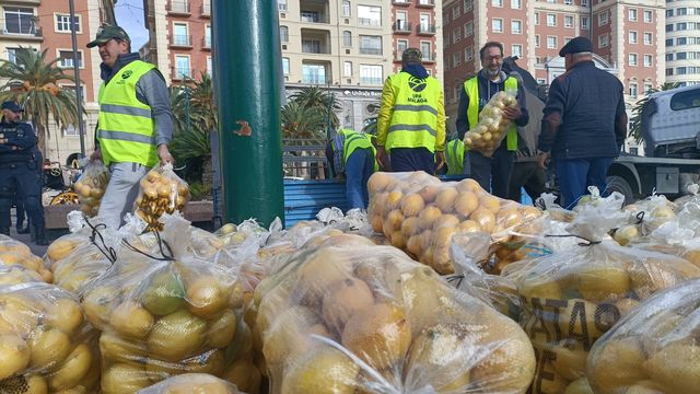 Los agricultores repartieron tres toneladas de limones como protesta. (P.D.A.)