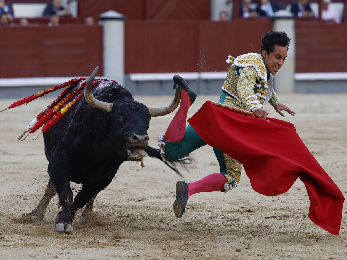 Foto: Quién torea este miércoles, 15 de mayo, en San Isidro 2024: cartel de la corrida y ganadería (Las Ventas/EFE Mariscal)
