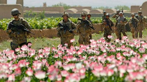 La guerra de las amapolas: el fracaso de EEUU en Afganistán que aupó a los talibanes